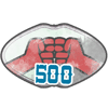 Amis 500