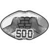 Amis 500